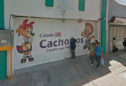 Calzado Cachorros Mayoreo