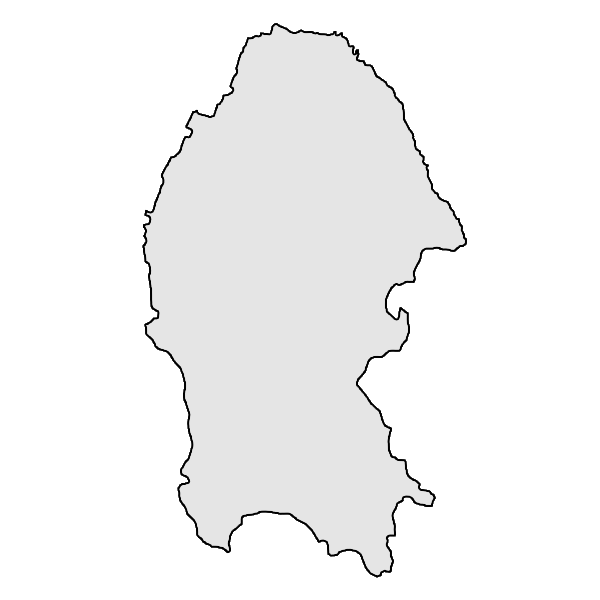 Mayoreo en Coahuila de Zaragoza