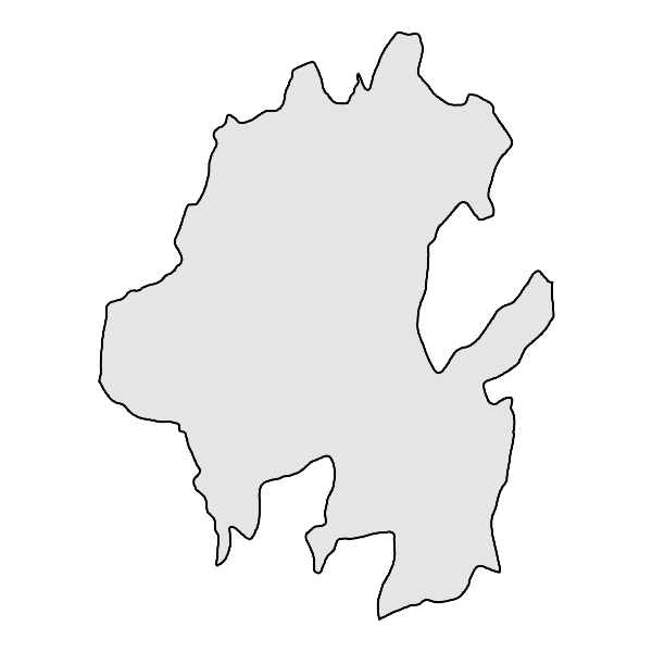 Mayoreo en Estado de Hidalgo