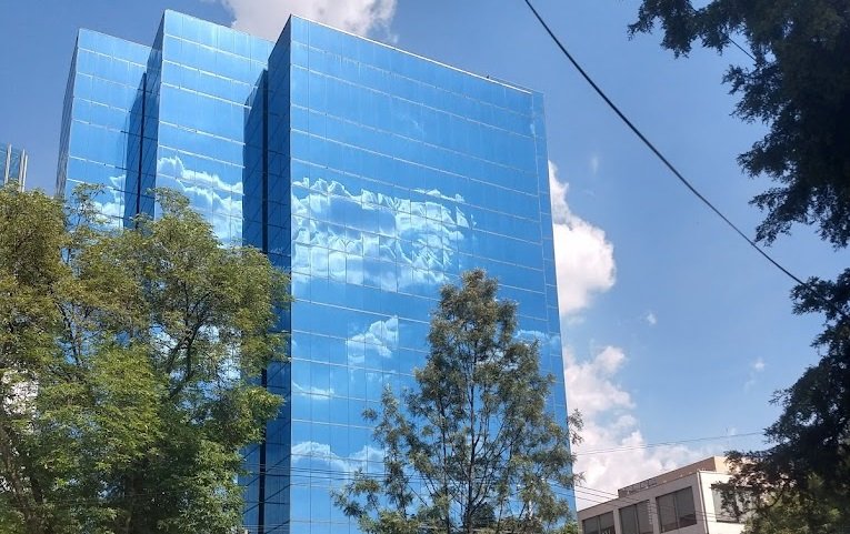 Estée Lauder Cosméticos