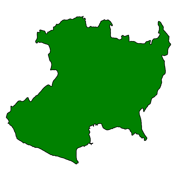 Mayoreo en Michoacán