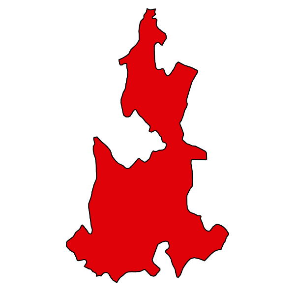 Mayoreo en Puebla