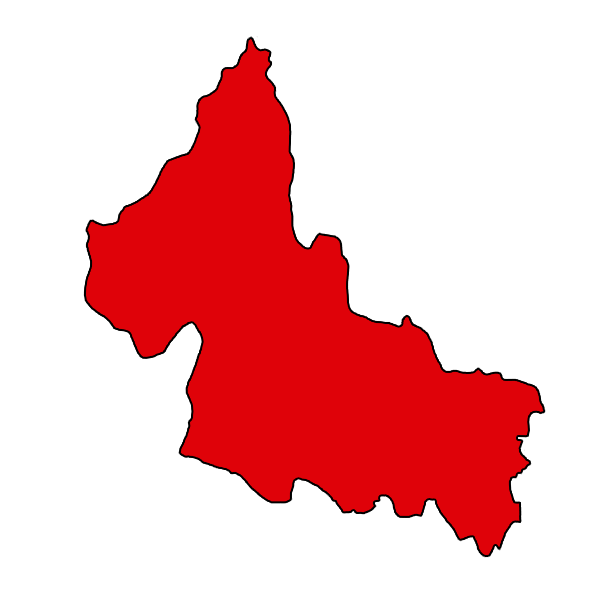 Mayoreo en San Luis Potosí