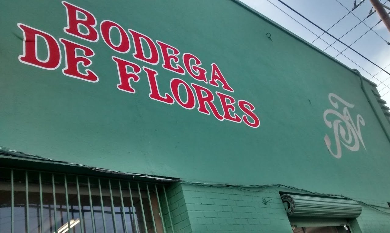 Flores Follajes y Plantas del Norte