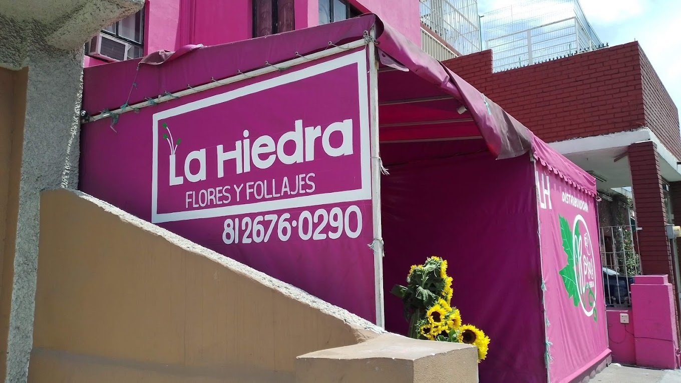 Flores y Follajes La Hiedra